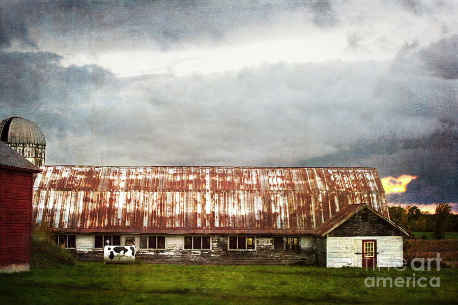 Abandoned Dairy Farm Photograph by Judy Wolinsky