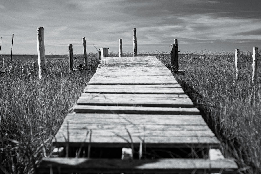 Abandoned Dock by Shawn Colborn Abandoned Dock by Shawn Colborn