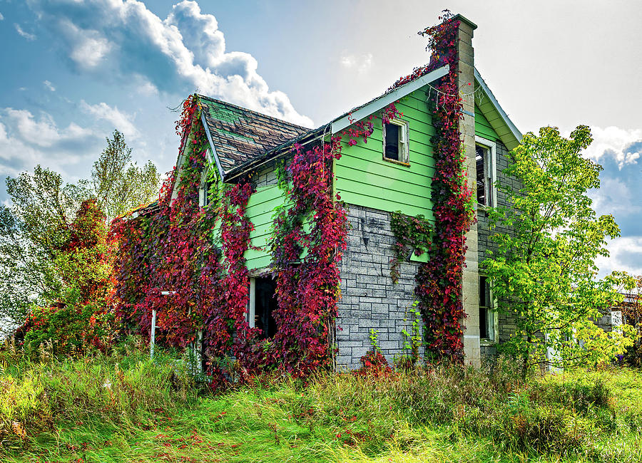 Abandoned Dreams - Autumn 2 Photograph by Steve Harrington