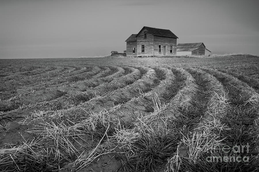 Abandoned Dreams Photograph by Idaho Scenic Images Linda Lantzy
