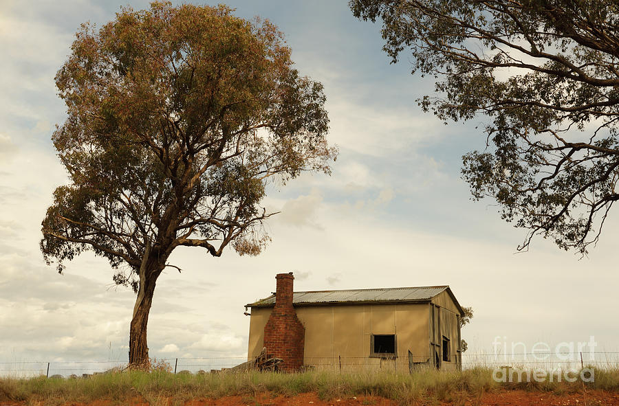 Abandoned Dwelling Mandurama Australia Photograph