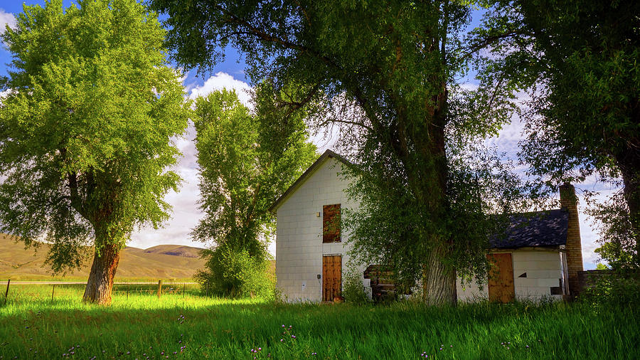 Abandoned Farm House In Colorado Photograph by John De Bord