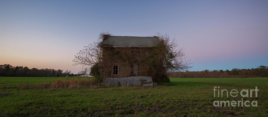 Abandoned Farm House near Assateague  Photograph by Michael Ver Sprill