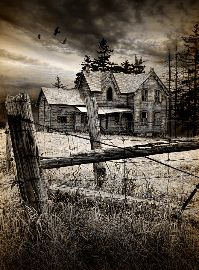 Abandoned Farm House Photograph by Randall Nyhof