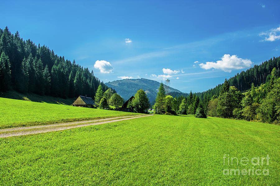 Abandoned Farm in Tree-Covered Valley in Austria Photograph by Andreas Berthold
