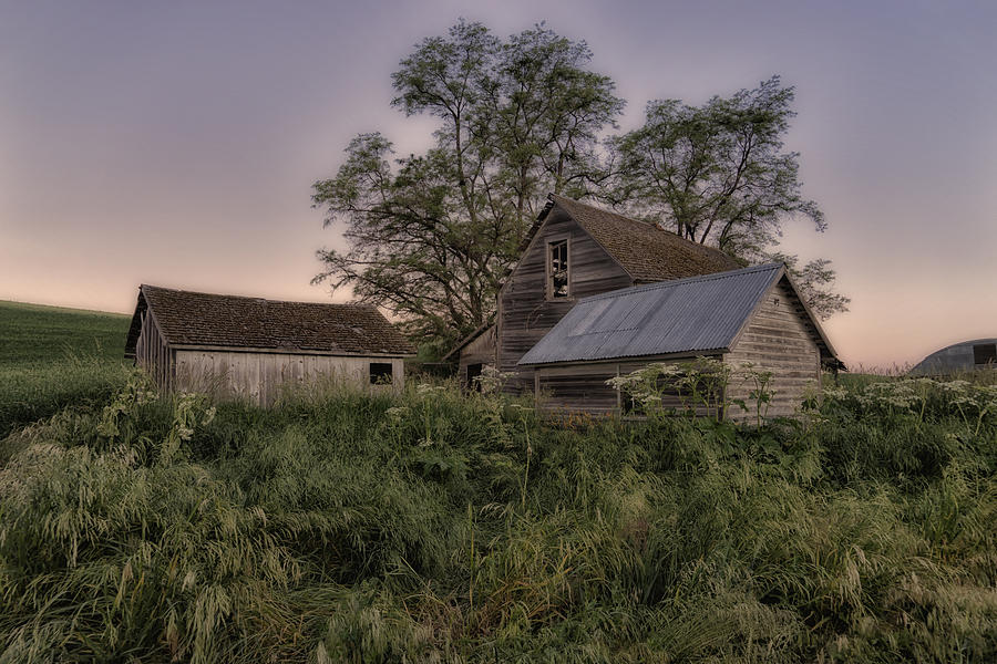 Abandoned Farm Palouse WA DSC04731 Photograph by Greg Kluempers