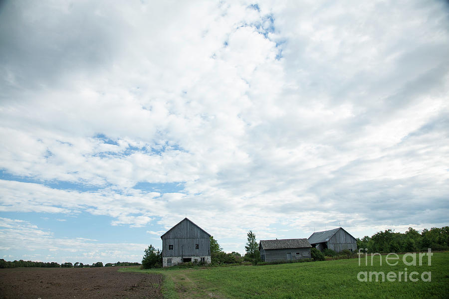 Abandoned Farm Photograph by Timothy Johnson