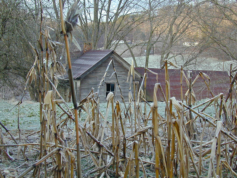 Abandoned Farmhouse and Cornfield Photograph by Douglas Barnett