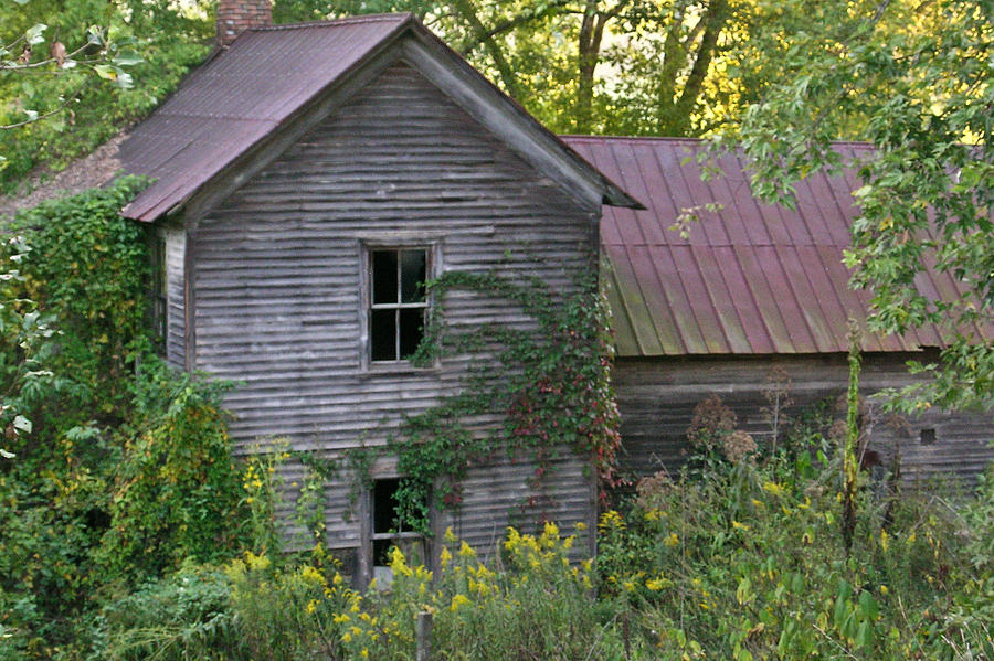 Fork Photograph - Abandoned Farmhouse on Stacy Fork by Douglas Barnett