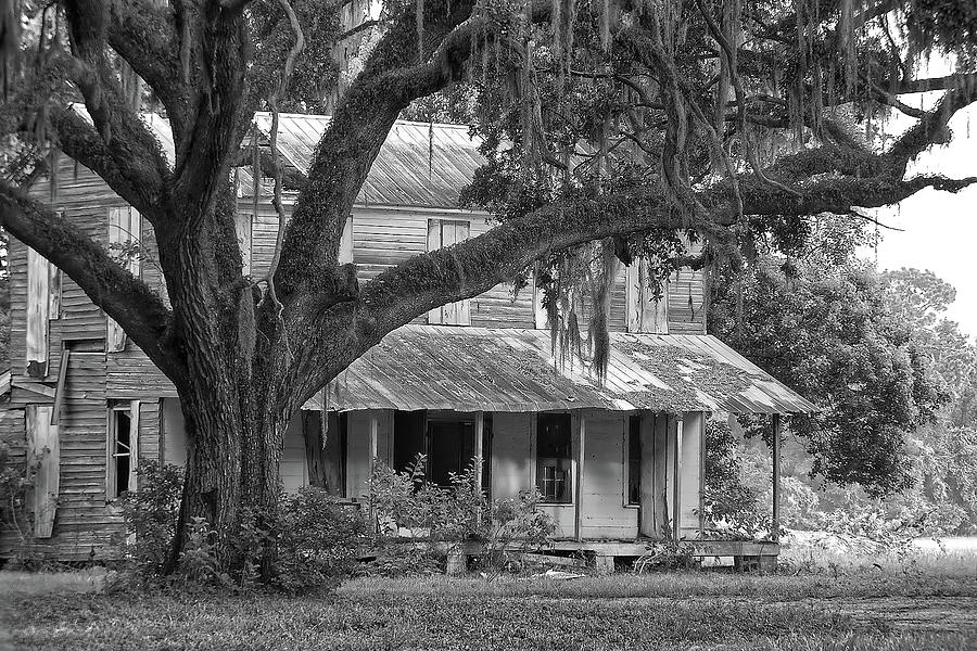Abandoned Farmhouse Photograph by Richard Rizzo