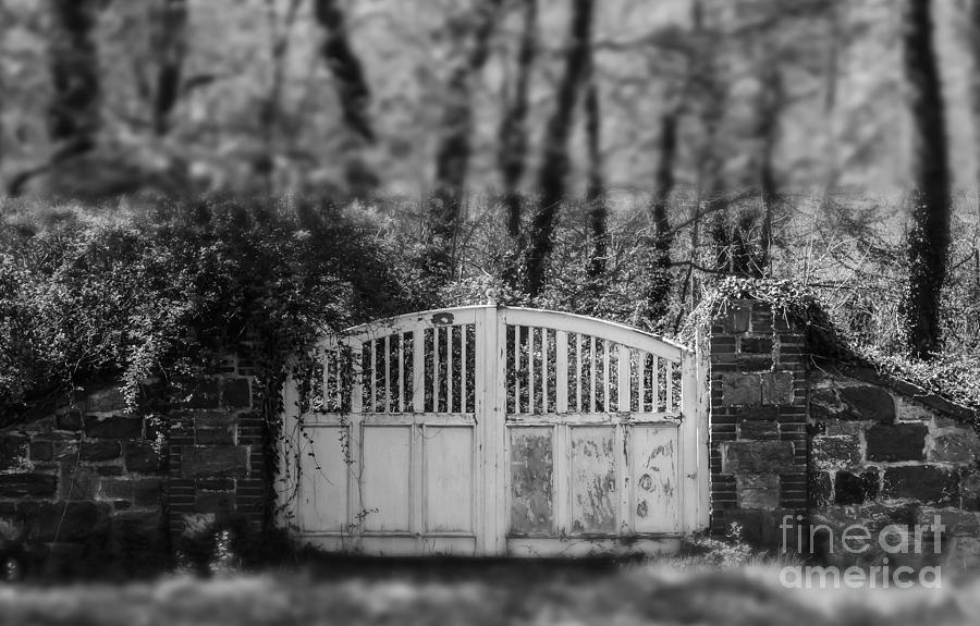 Abandoned Gateway Photograph by John Greco