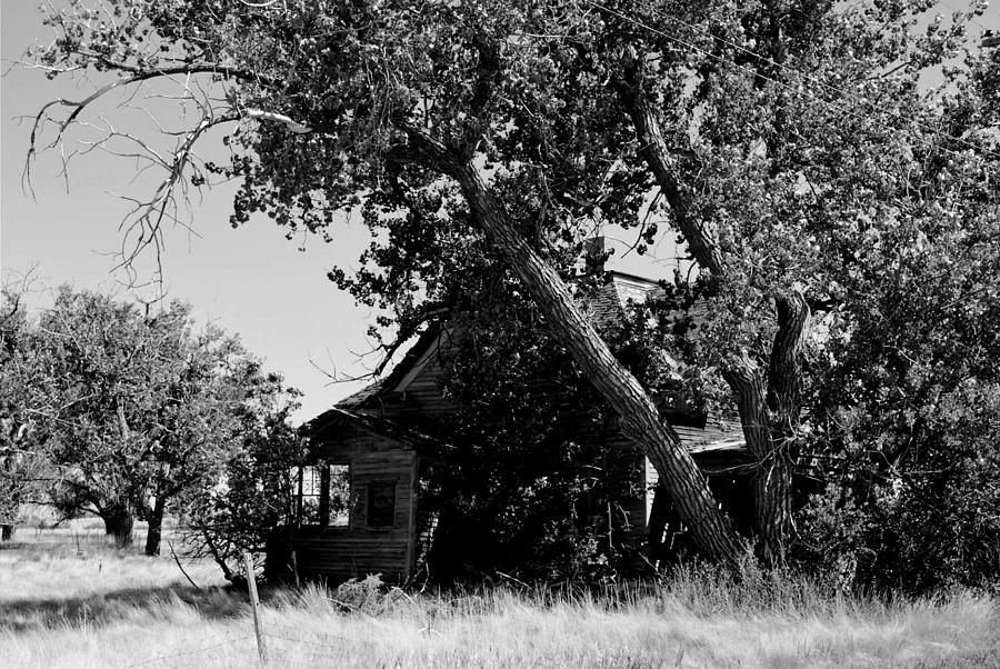 Nature Photograph - Abandoned Ghost Town House - Black and White by Matt Quest