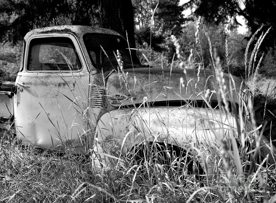 Abandoned GMC Truck Photograph by Denise Bruchman