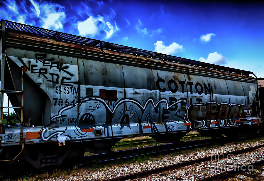 Abandoned Graffiti Train Car Photograph by JB Thomas