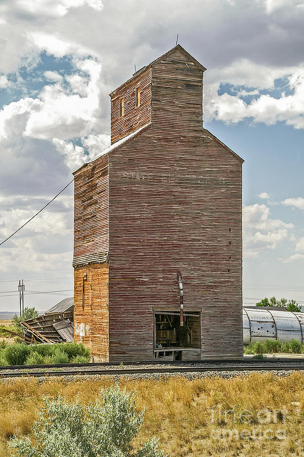Summer Photograph - Abandoned Grain Elevator by Sue Smith