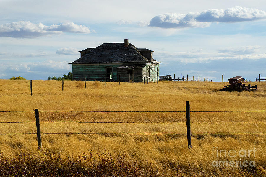 Abandoned Homestead Saskatchewan Photograph by Bob Christopher