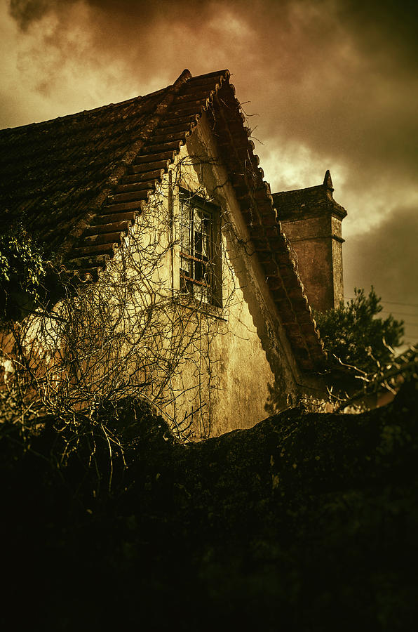 Abandoned House Photograph by Carlos Caetano
