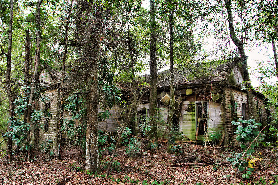 Abandoned House in Alabama Photograph by Lynn Jordan
