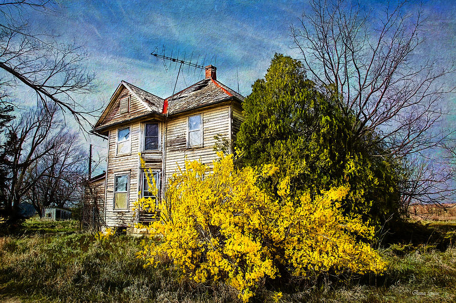 Abandoned House In Early Kansas Spring 1 Photograph by Anna Louise