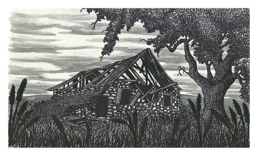 Abandoned Hunters Cabin Drawing by Jonathan Baldock