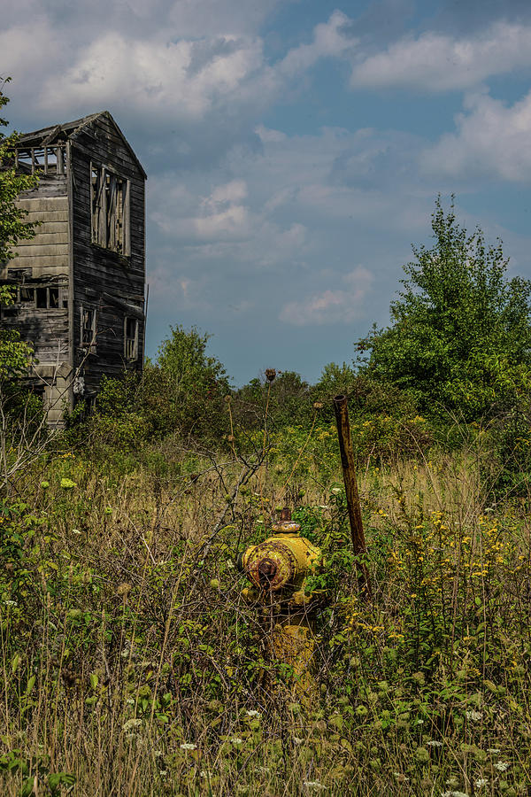 Abandoned Photograph - Abandoned Hydrant by Lindy Grasser Abandoned Photograph - Abandoned Hydrant by Lindy Grasser