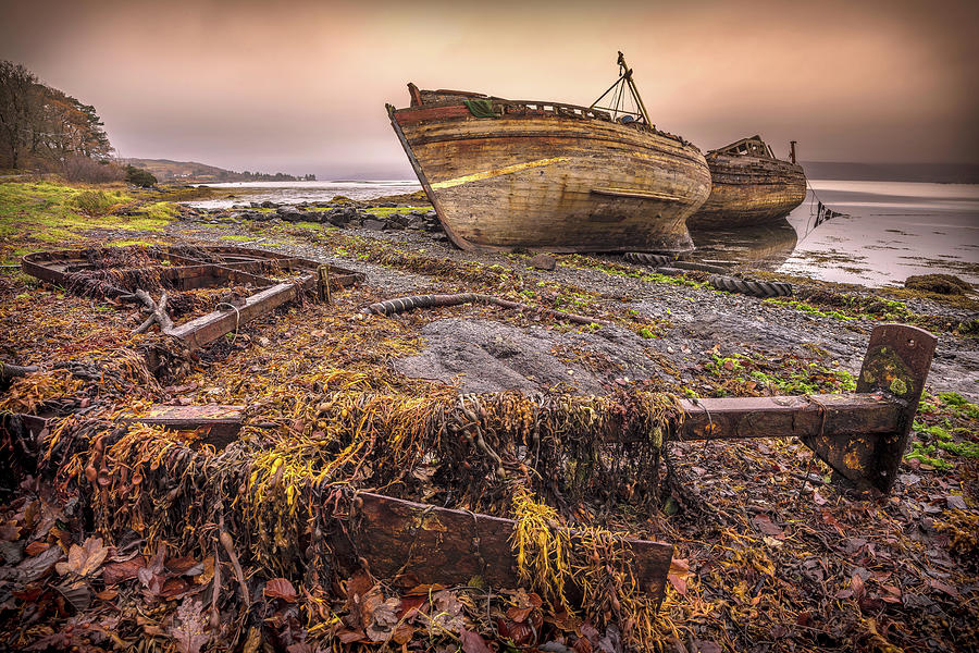 Abandoned I Photograph by Peter OReilly