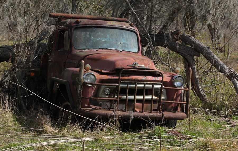 Abandoned IH Truck Photograph by Noel Hankamer - Fine Art America