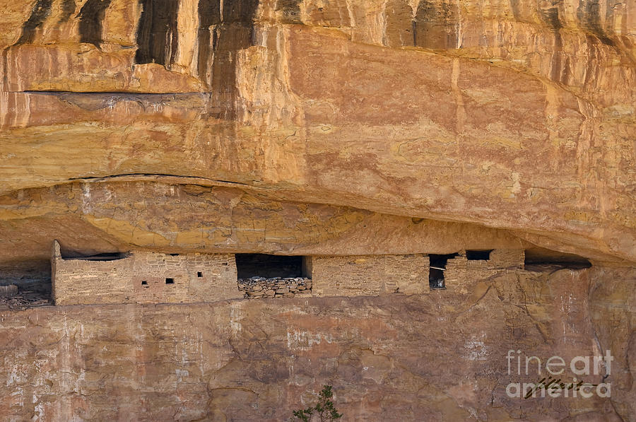 Mesa Verde National Park Photograph - Abandoned by Bon and Jim Fillpot