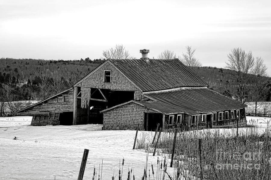 Abandoned Maine Barn in Winter Photograph by Olivier Le Queinec