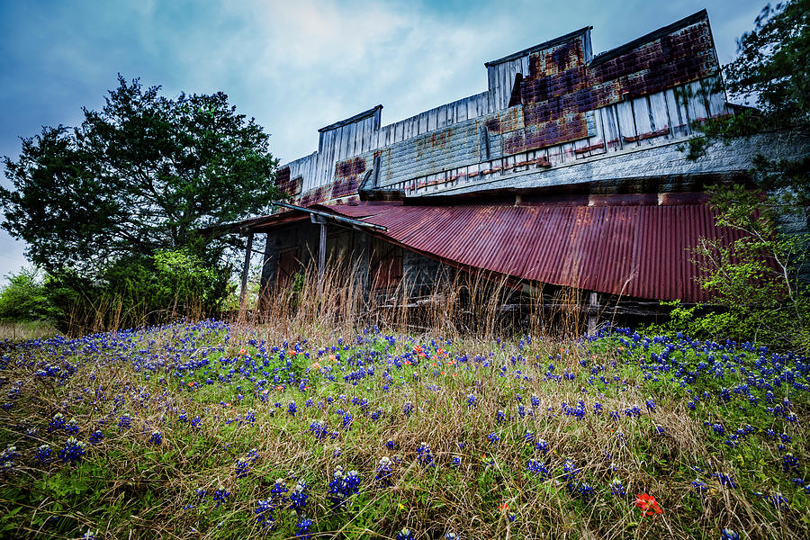 Abandoned Photograph By Mike Harlan Fine Art America 9634