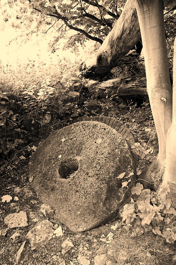 Nature Photograph - Abandoned Mill-stone by Bob Kemp