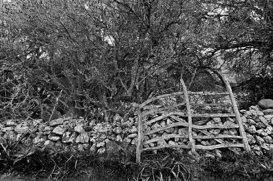 Abandoned minorcan country gate Photograph by Pedro Cardona Llambias
