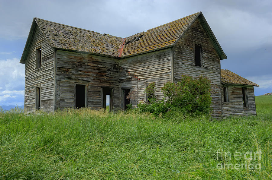 Abandoned Montana Homestead Photograph