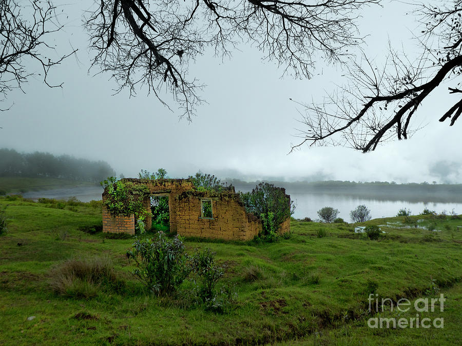 Abandoned Mud Hut In The Fog In The Andes Photograph by Al Bourassa