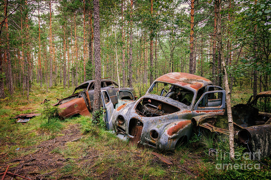 Abandoned old cars Photograph by Sophie McAulay