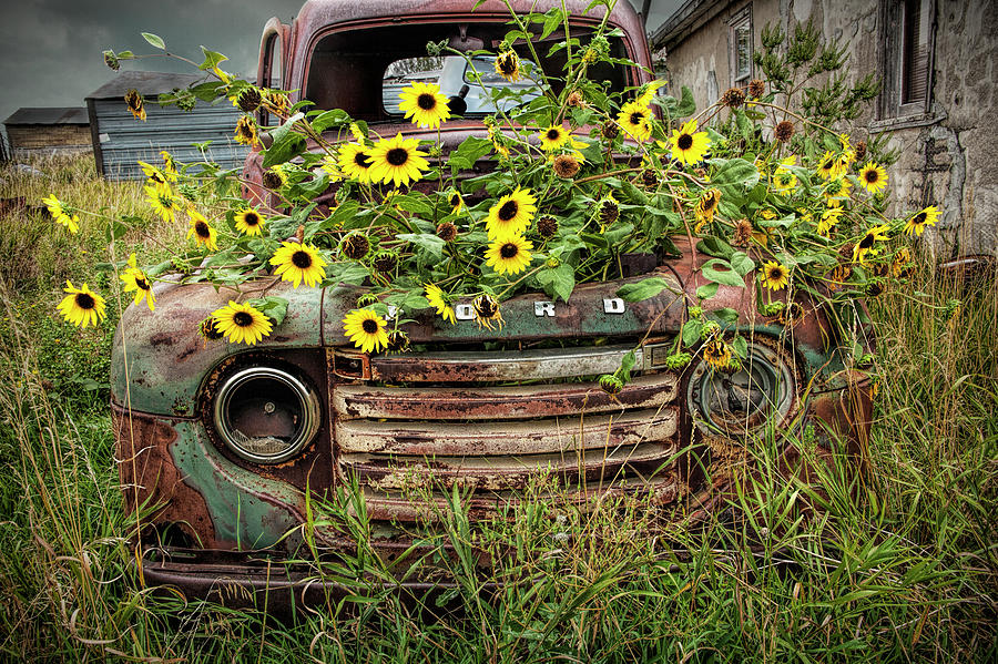 Abandoned Old Ford Truck with Yellow Flowers in the Ghost Town by Okaton South Dakota Photograph by Randall Nyhof