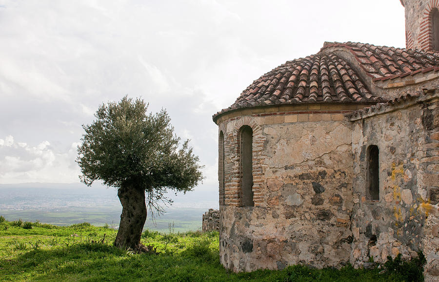 Abandoned old orthodox Christian church and olive tree  Photograph by Michalakis Ppalis