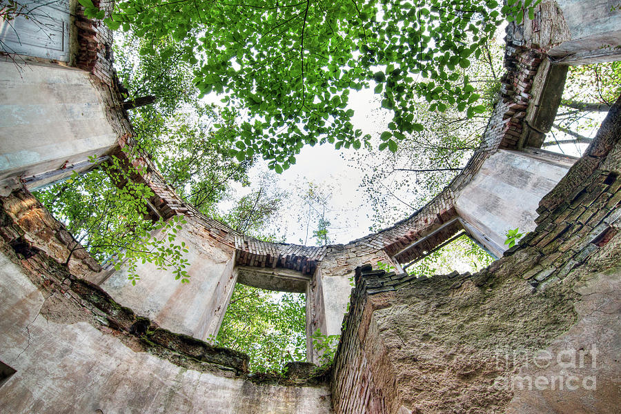 Abandoned old ruin in the woods - Summerhouse Photograph by Michal Boubin