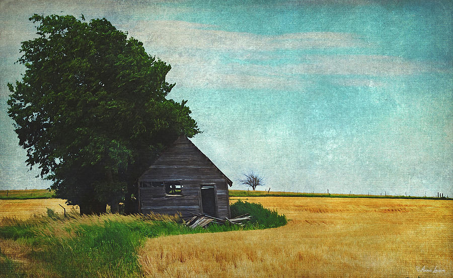 Abandoned Old Shack In Wheat Field Photograph by Anna Louise