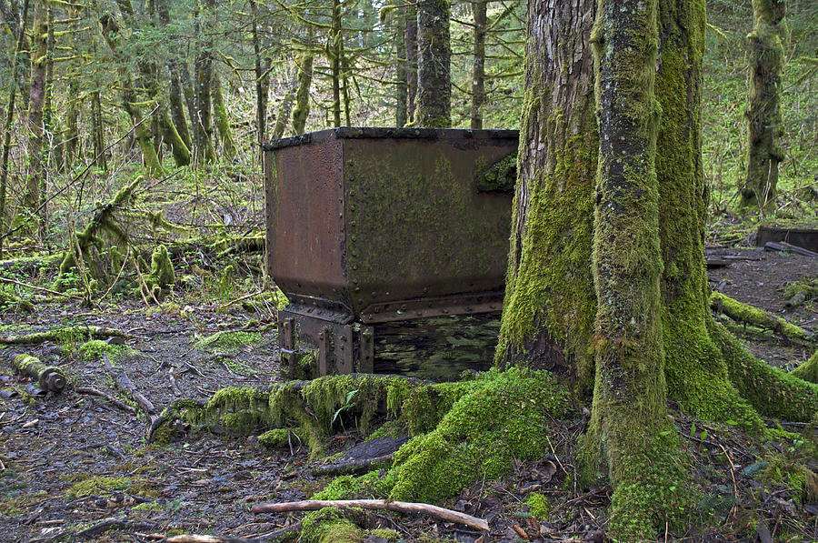 Abandoned Ore Cart Photograph by Cathy Mahnke