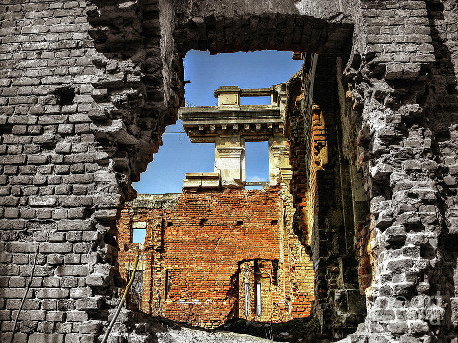 Abandoned Palace Photograph by Daliana Pacuraru