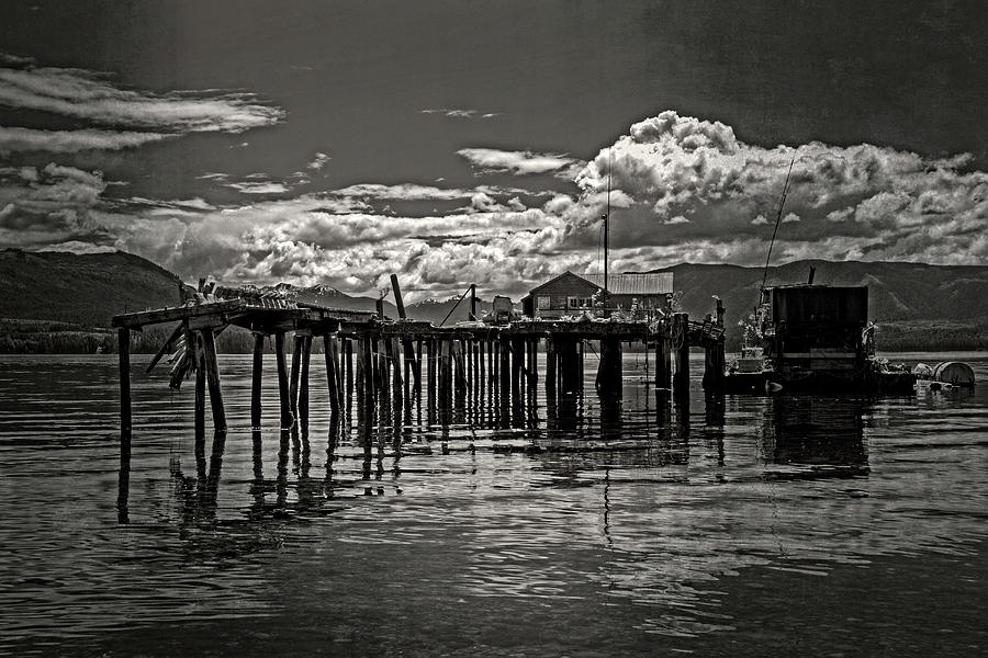 Abandoned Pier 365-112 Photograph by Inge Riis McDonald