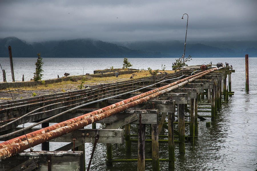 Abandoned Pier Photograph by Robert Potts