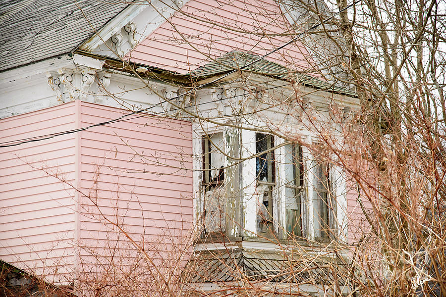 Abandoned Pink House Photograph by Alana Ranney