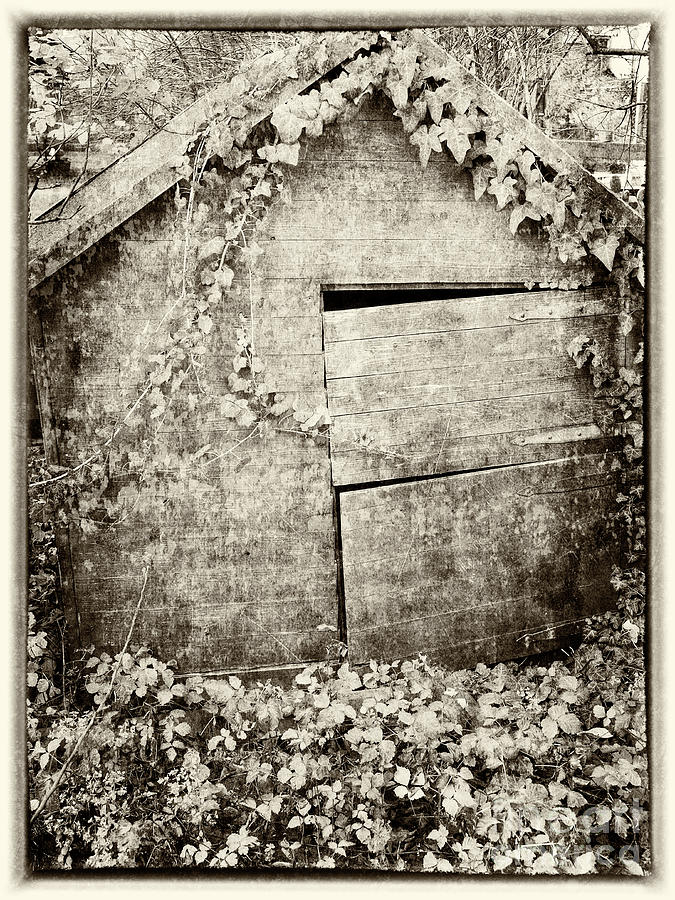 Abandoned Playhouse Photograph by Elisabeth Lucas - Pixels