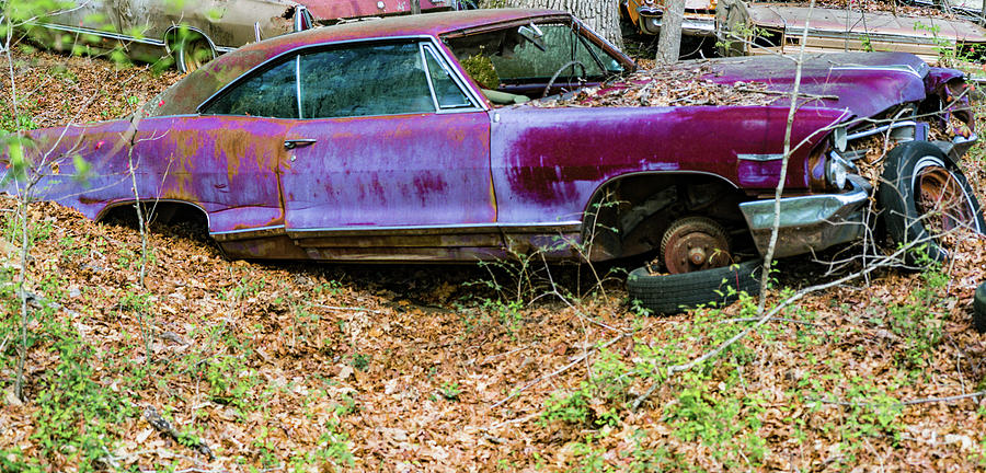 Abandoned Purple Vehicle in the Woods Photograph by Douglas Barnett