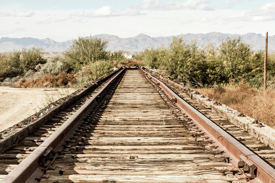 Abandoned Rail Tracks Photograph by SR Green