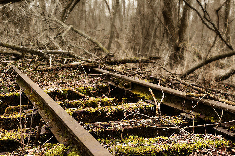 Abandoned Railroad 1 Photograph by Scott Hovind