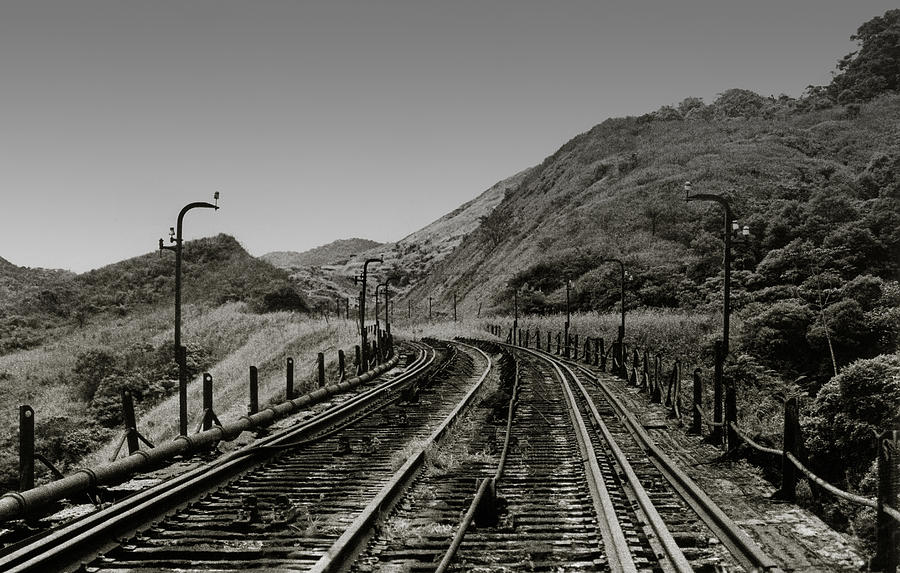 Abandoned Railroad Photograph by Amarildo Correa
