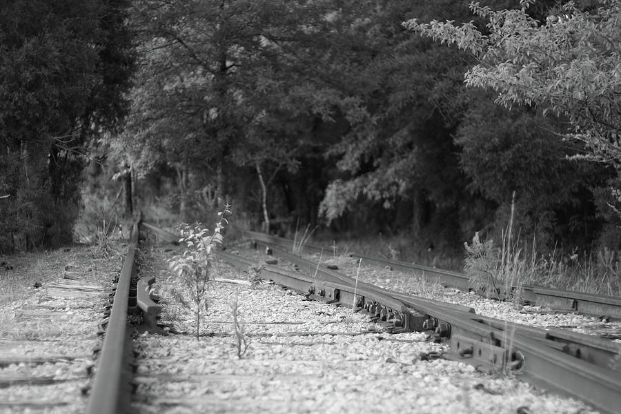 Abandoned Railroad Track 10 Photograph by Joseph C Hinson